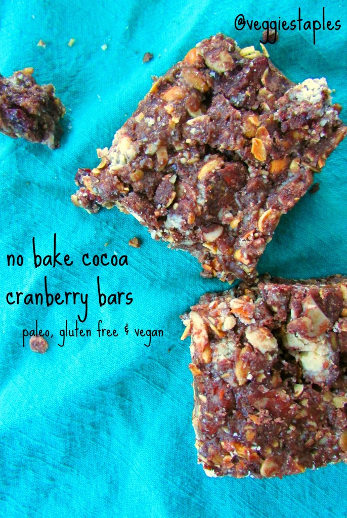 nobakecocoacranberrybars